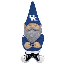 Kentucky Wildcats